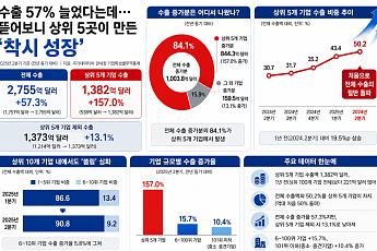 수출 57% 늘었다는데…뜯어보니 상위 5곳이 만든 '착시 성장’