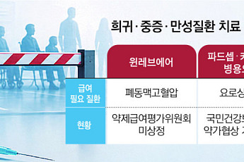 만성·희귀질환 치료 급여 지연…속 타는 환자들
