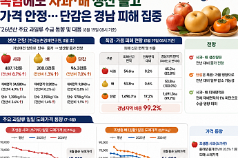 폭염에도 사과·배 생산 늘고 가격 안정…단감은 경남 피해 집중