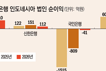 인니서 ‘하나’만 웃었다…KB·신한銀 지주체제로 돌파구