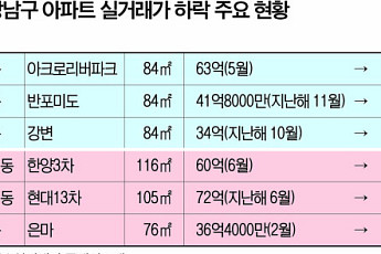 석달 새 9억 빠졌다⋯강남 집값, 실거래도 한풀 꺾이나