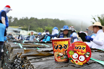 농심, “너구리 속 다시마 버리지마세요”⋯완도 햇다시마 490톤 구매