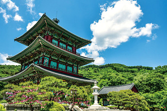 숨은 자연이 건네는 조용한 위로, 생거진천(生居鎭川)