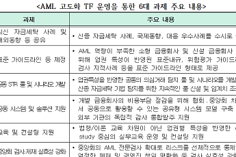 자금세탁 대응역량 높인다…FIU, 유관기관 협의회 개최