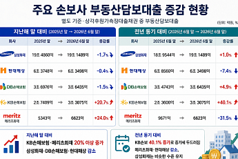 손보사 부동산담보대출 ‘온도차’…기업대출 따라 변동