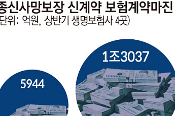 ‘사망’ 넘어 ‘건강’까지… 종신보험, 생보사 수익원으로 귀환