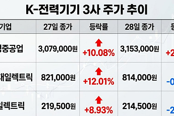 하루 만에 주가 엇갈린 K-전력기기 3인방…