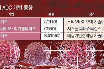 높기만 한 ADC 시장 문턱…국내 기업 개발 언제쯤