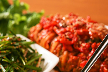 '2TV 생생정보' 오늘방송맛집- 환상의 호흡! 오징어 칼국수ㆍ오징어 보쌈 맛집 '죽○○○'