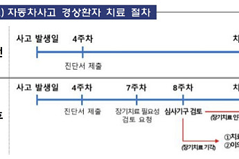 車보험 경상환자 장기치료 심사 도입…향후치료비도 개편