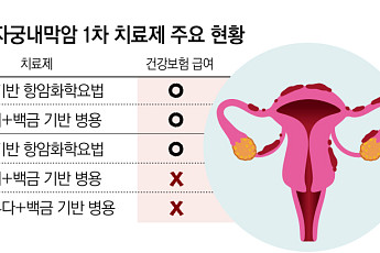 자궁내막암 면역항암제 병용요법, 새로운 표준 확립[2026 여성암 리포트⑤]