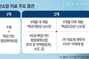 효과적인 난소암 신약 나왔지만…국내 접근성은 아직[2026 여성암 리포트⑧]