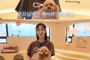 이수경, 반려견 파양설에 억울함 뚝뚝⋯