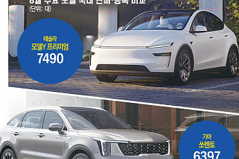 신차 공세에도 안방 흔들리는 현대차·기아…테슬라 내수 존재감 확대