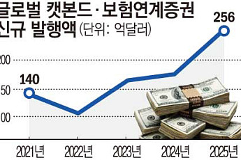 국채부터 집값까지⋯금융시장 덮친 ‘기후 프리미엄’ [기후의 역습, 경제의 재편 ④]