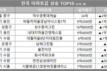 [아파트값 상승 톱10] 서울 중구 ‘덕수궁롯데캐슬’ 등
