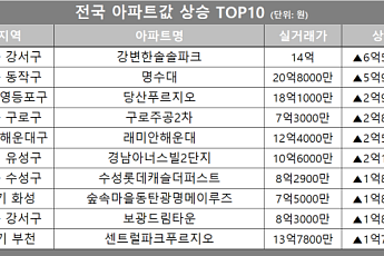[아파트값 상승 톱10] 서울 영등포구 ‘당산푸르지오’ 등