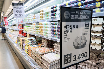 추석 계란값 잡는다…농협 공급 2.4배로 확대