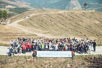 산불 난 땅에 ‘더 강한 숲’…트리플래닛, 복원 넘어 연구로 [CSR 필름 리와인드]