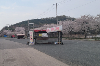 영암군, 불법 노점상·노상 적치물 집중단속