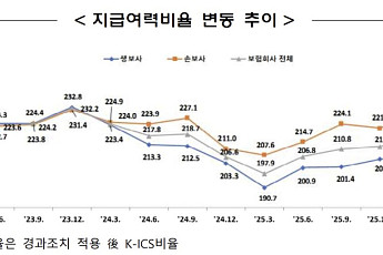 보험사 지급여력비율 215.2%⋯생보 내리고 손보 올랐다