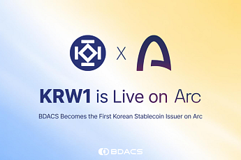 비댁스 