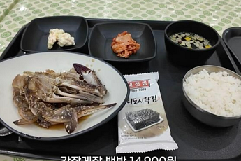 바가지 '간장게장 백반' 등…여수섬박람회 '부실' 논란