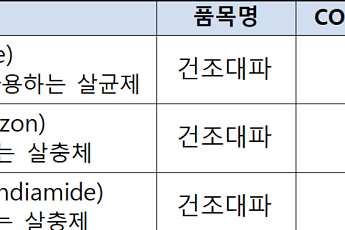 식약처, 건조대파 농약 잔류허용기준 국제기준 채택…라면 수출 비관세장벽 완화