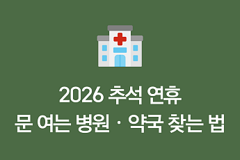 추석에 갑자기 아프면?⋯연휴 문 여는 병원ㆍ약국 찾는 법