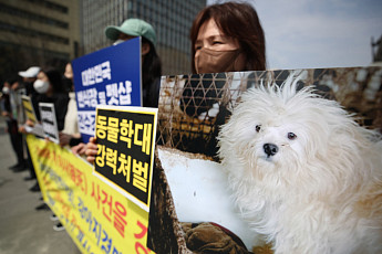 동물학대자, 다시 못 키우게…‘최대 5년 사육금지’ 재추진