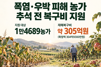 폭염·우박 피해 1만4689농가에 305억원…추석 전 복구비 푼다