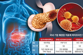 췌장암 미충족 수요 여전, 표적치료제 ‘게임체인저’ 나올까