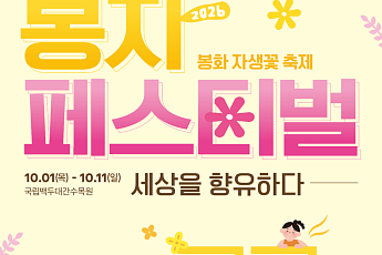 봉화 자생꽃 32만여 본 전시…백두대간수목원 '봉자페스티벌' 가을정취 담다