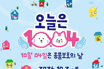 입양 체험부터 응급처치까지…성수동에 동물복지 팝업 열린다