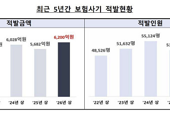 상반기 보험사기 적발액 6200억⋯1년 새 9.1% 늘었다