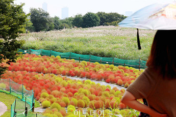 오후부터 중부ㆍ전북 비⋯아침엔 내륙 '짙은 안개' [날씨]