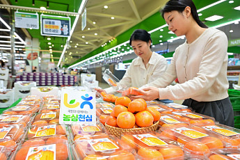 [포토] 농협유통 하나로마트, 가을 제철 과일 ‘청도반시’ 판매