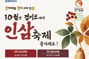 경기도 4개시군 인삼축제 릴레이…경기농협 10월 9일 이천 시작