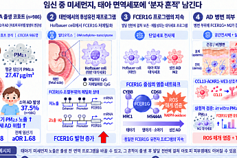 임신 초기 미세먼지 노출, 자녀 아토피 위험 ↑…경희대 연구팀 규명