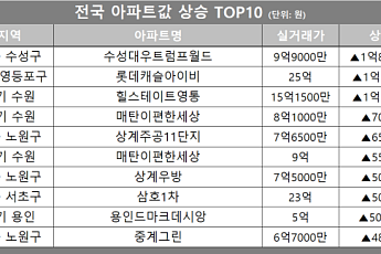 [아파트값 상승 톱10] 서울 영등포구 ‘롯데캐슬아이비’ 등