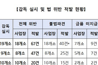 안산 산단 '무허가 불법파견' 무더기 적발⋯노동부, 136명 직접고용 지시