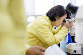 추미애 '확산 방지선 긋는다'…소나무 재선충 1년 새 68%↑ 11만6665그루