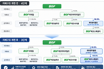 BGF, 지배구조 3단계로 단순화…반도체 소재 사업 직접 키운다