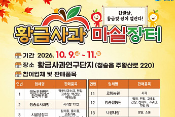 청송군, 한글날 연휴 사흘간 ‘황금사과 마실장터’ 개장… 농특산물 직거래 한마당