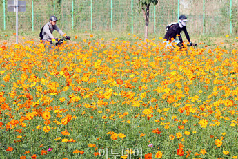 '한글날' 전국 구름 많고 일교차 15도⋯아침엔 내륙 안개 [날씨]