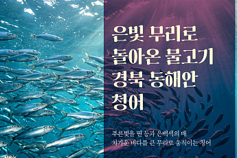 가을의 풍요를 담은 저장의 미학… 경북문화관광공사, 10월 미식여행(METI) 발행