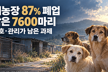개농장 87% 문 닫았다…‘식용 종식’ 남은 과제는 7600마리 관리