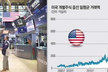 전쟁·고유가에도 ‘상승 베팅’⋯“美 개미 옵션 거래, 밈주식 광풍 수준”
