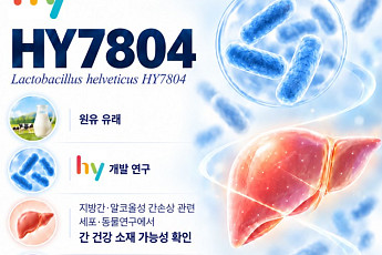 술로 손상된 간에 프로바이오틱스가?…hy, 동물실험서 가능성 확인