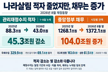 나라살림 적자 43조로 줄었지만…중앙정부 채무 104조 늘어